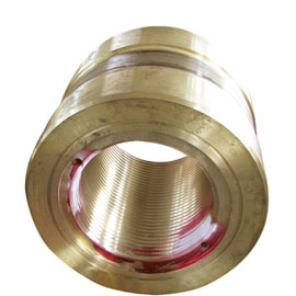 Chromosome detection on the surface of 